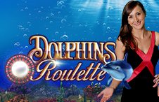 Dolphins Roulette