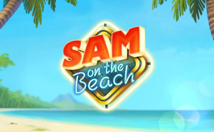 Sam on the beach