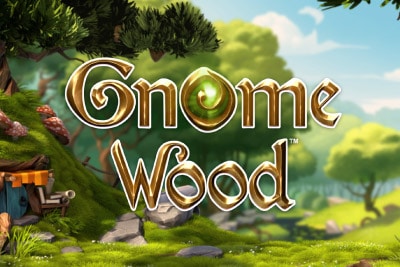 gnome wood slot